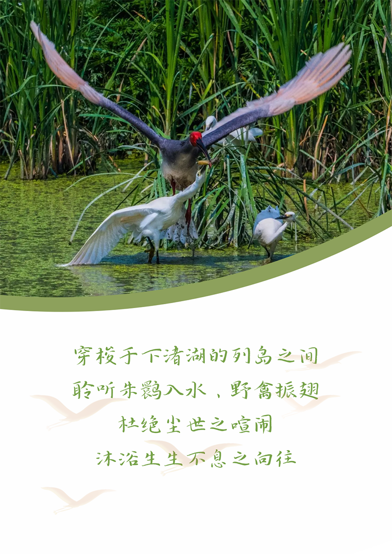 心心念廿 相伴AG真人 | 与德清相约 贺廿载诞辰